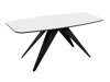 Tafel Oswego 115 (Zwart + Wit)