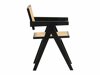 Silla Springfield 257 (Negro + De color marrón claro)