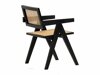 Silla Springfield 257 (Negro + De color marrón claro)