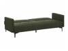 Καναπές κρεβάτι Berwyn 161 (Σκούρο πράσινο)