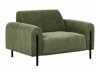 Pehme mööbli komplekt Berwyn 2073 (Roheline)