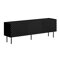 TV-Tisch Charlotte U103 (Schwarz)