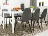 Set sala da pranzo Scandinavian Choice 558 (Grigio + Nero)