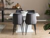 Set sala da pranzo Scandinavian Choice 726 (Grigio + Nero)