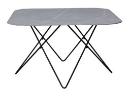 Mesa de centro Dallas 1723 (Gris + Negro)