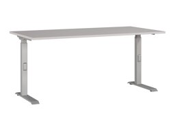 Mesa de oficina Sacramento 421 (Gris + Plata)