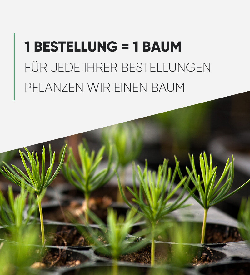Tausende Möbel online für Ihr Zuhause | Moebel1.ch